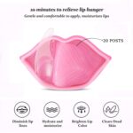 قناع ترطيب الشفاه - 20 قطعة (Rose Moisturizing Lip Mask) - Image 12