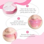 قناع ترطيب الشفاه - 20 قطعة (Rose Moisturizing Lip Mask) - Image 7